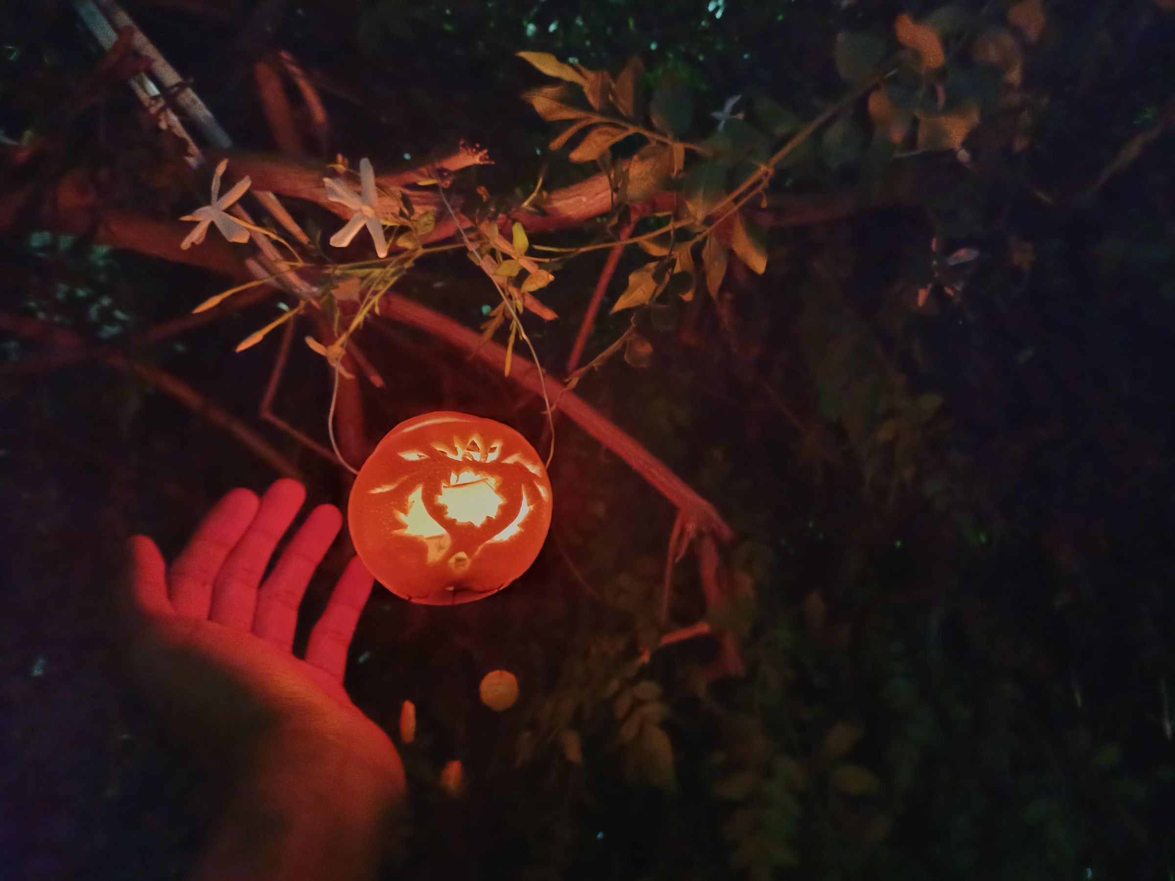 Orange Peel Candle Holders 7 Steps (with Pictures) Instructables