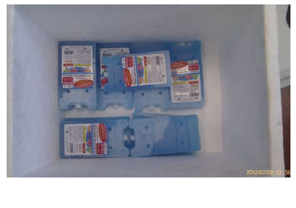Chill the Ice Pack