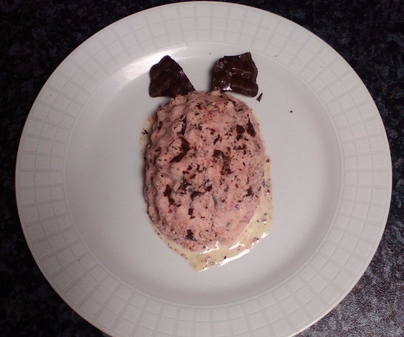 Raspberry Ice Pie W 3DPrinting