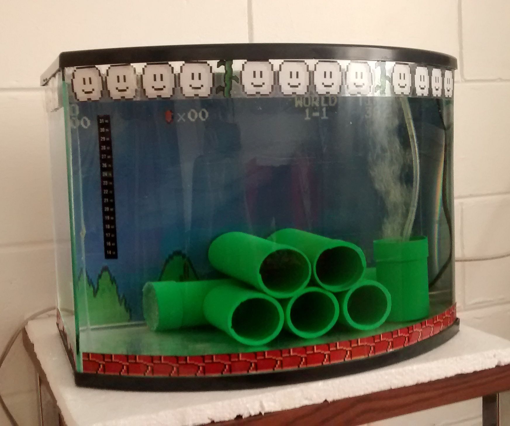 Pecera de Mario Bros