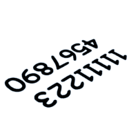 download {{ file.name }}