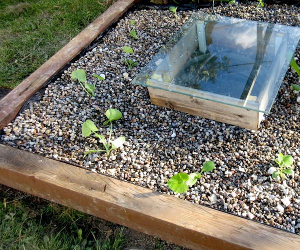 Going Down the Fish Pit