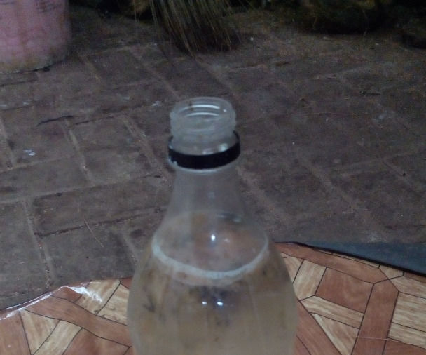 Imo Indigenous Microorganisms