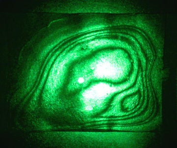 What Can You Learn From This?