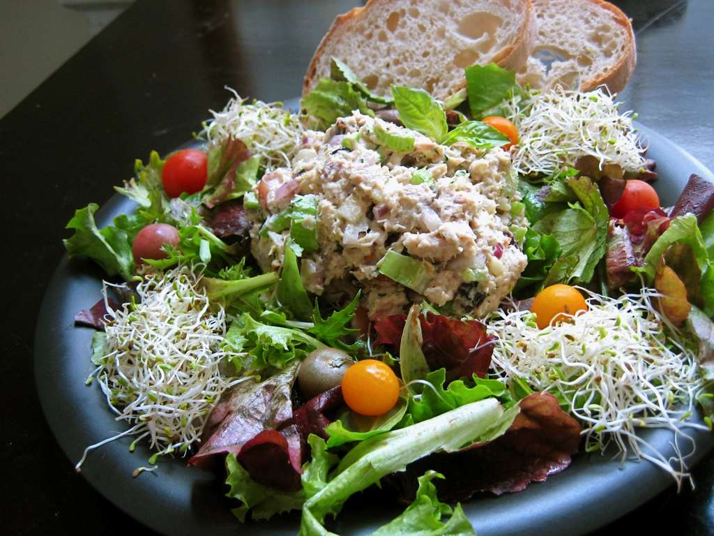 Collection Cover Image: Salad