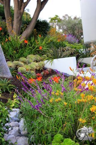 Landscaping With Vibrant Plants & Flowers