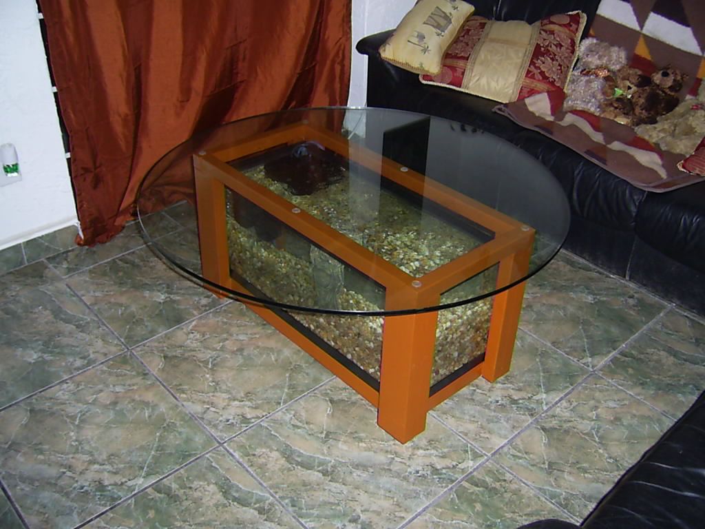Table Top Aquarium