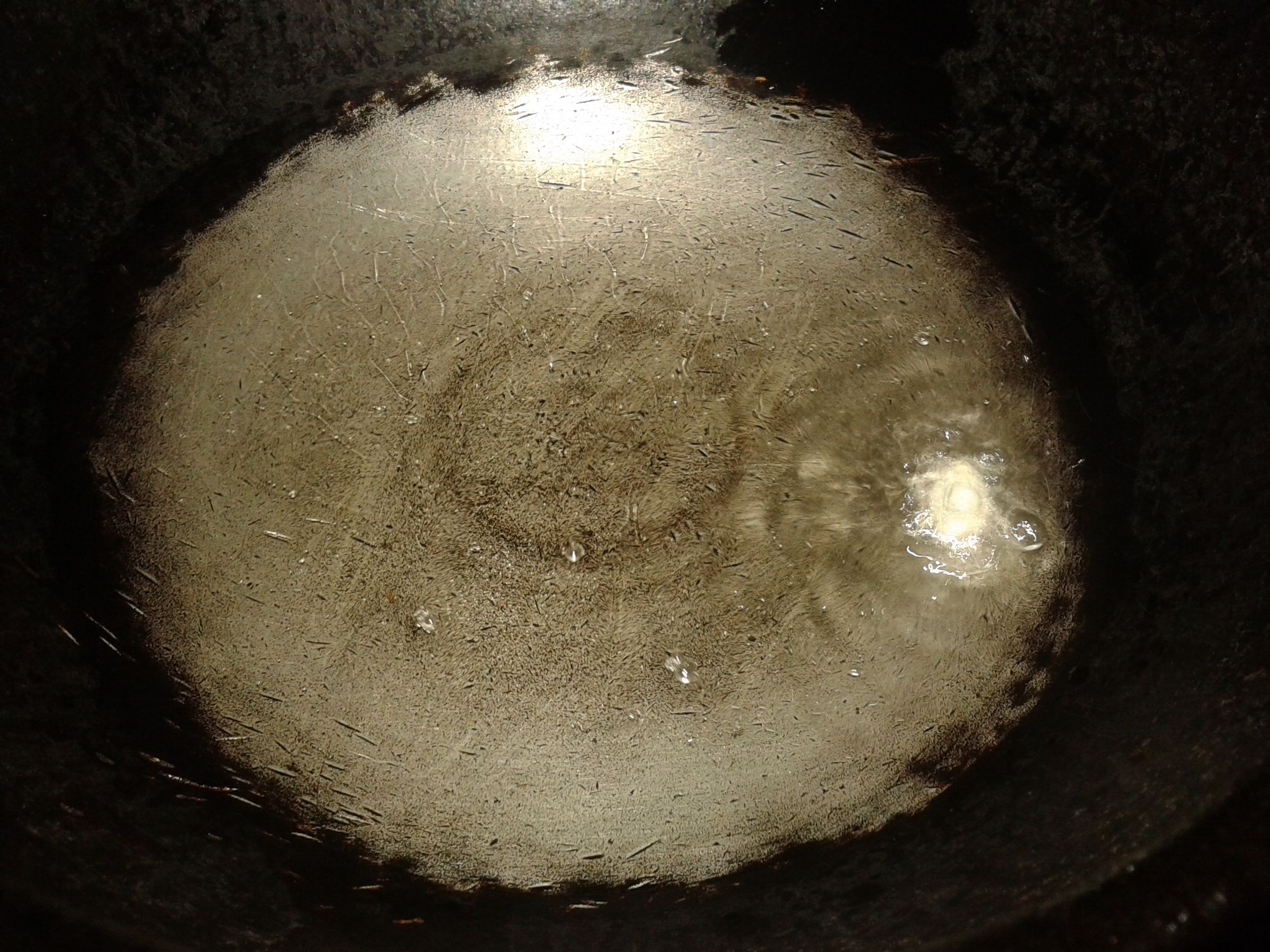 What Type Of Oil Does Mcdonalds Use For Fries