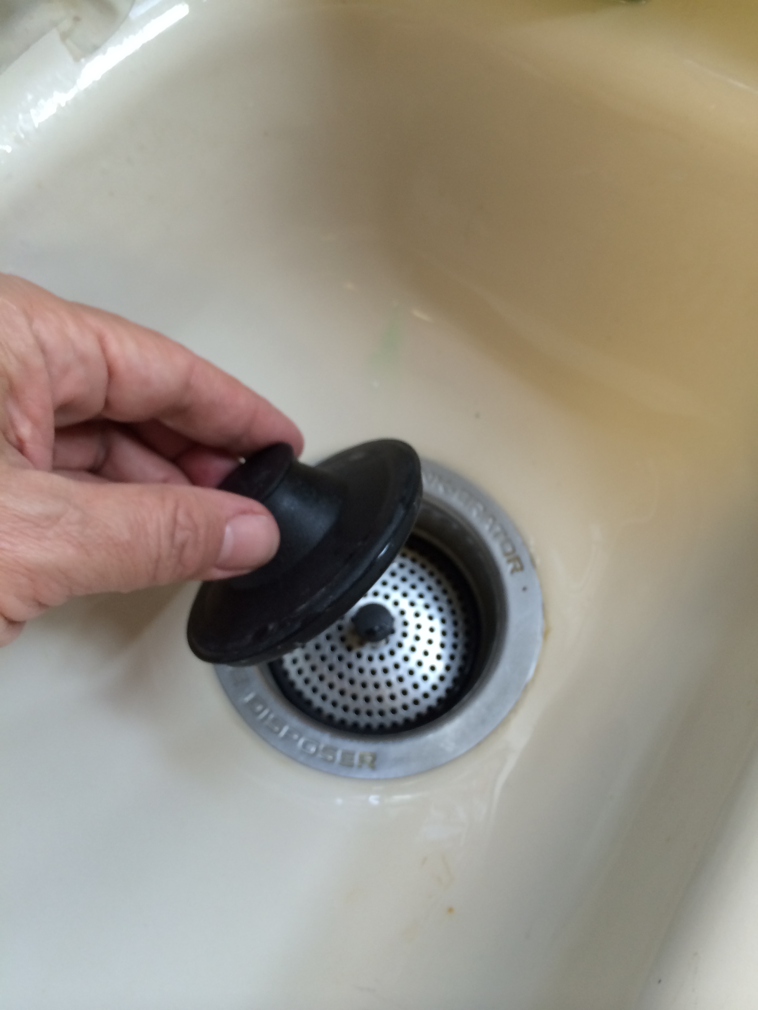 Garbage Disposal Things Falling in Preventor