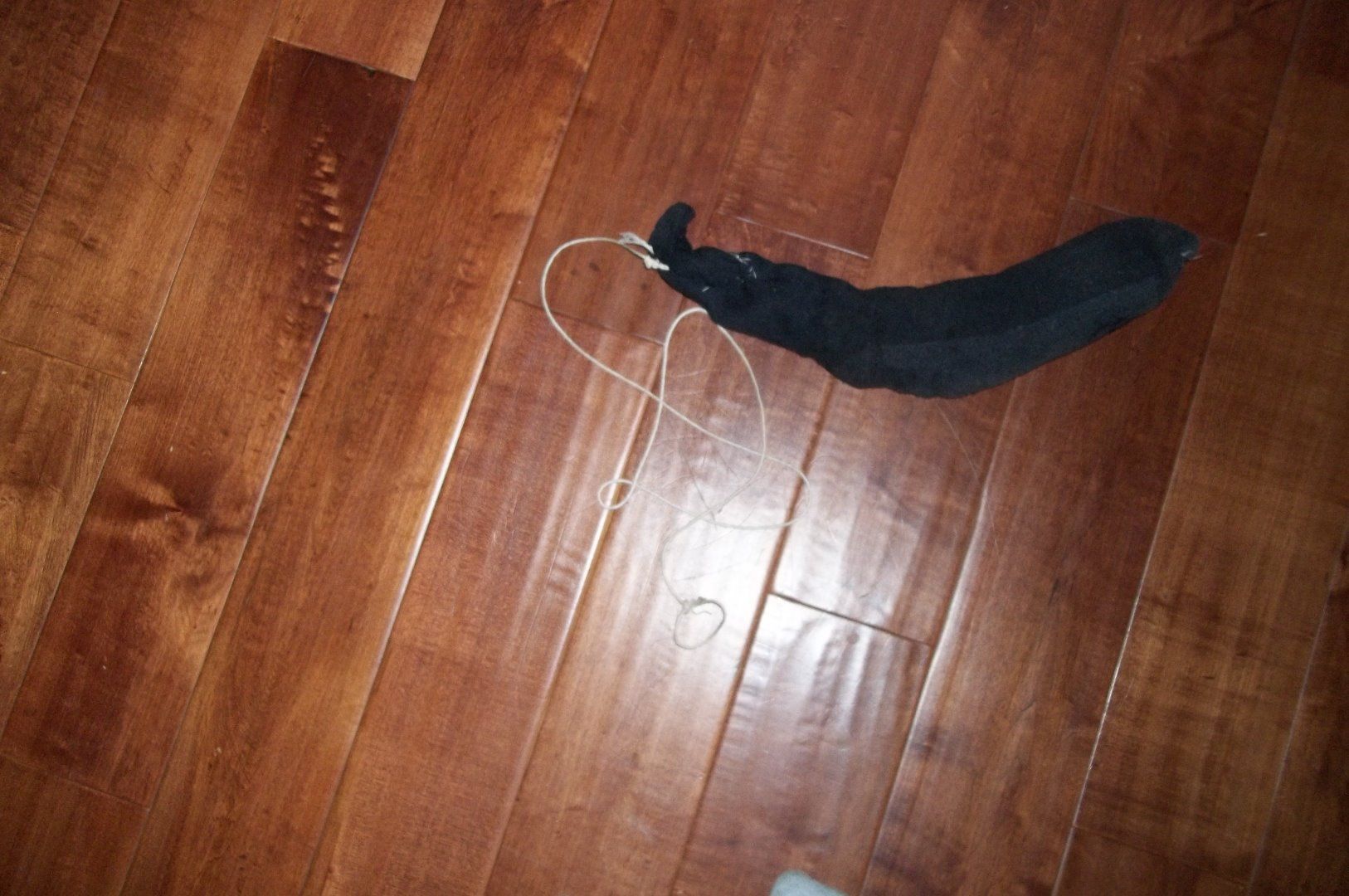 How to Make a Pet Toy Out of Household Materials 5 Steps Instructables