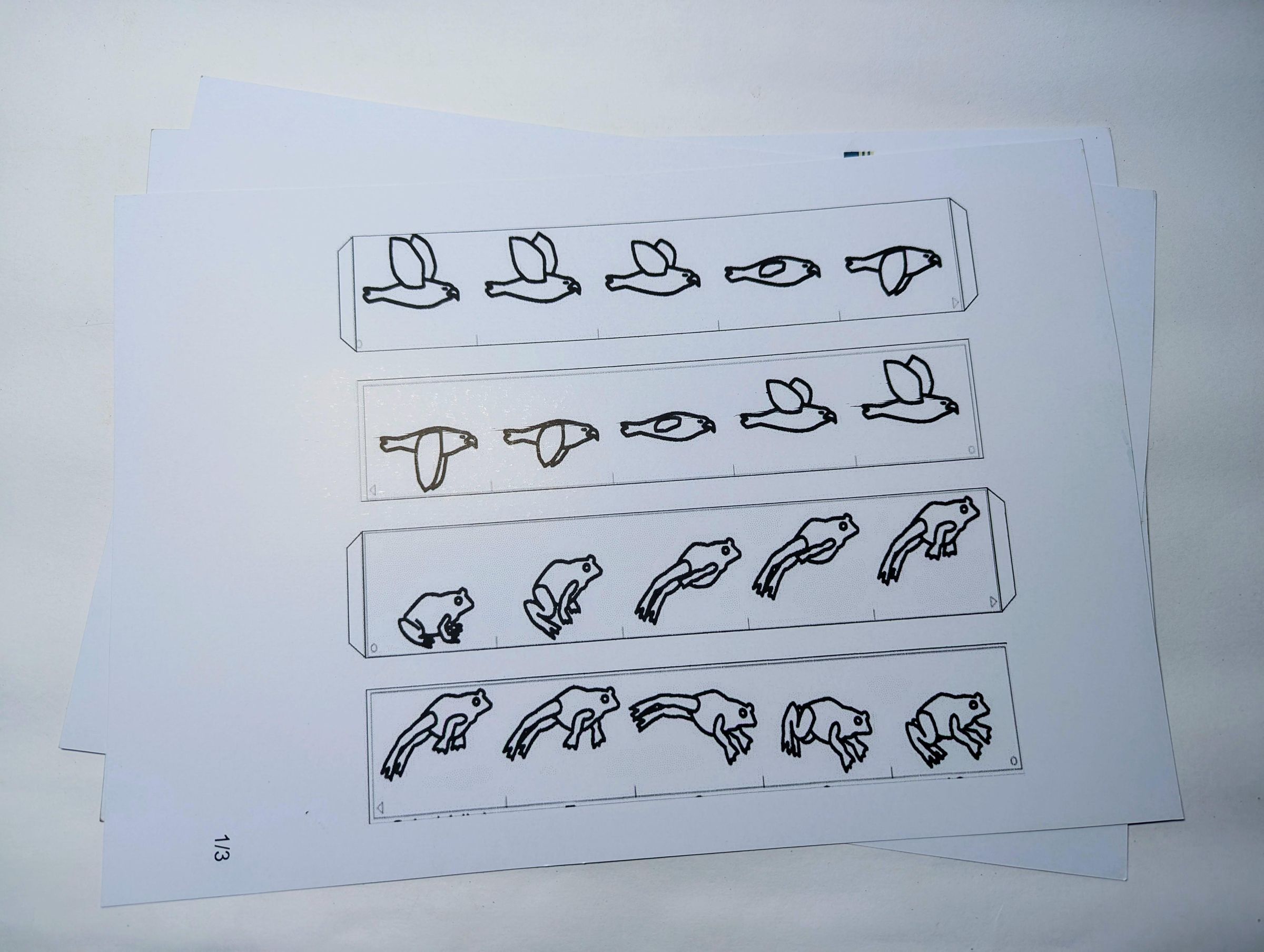 The "Software" – 12-Frame Animation Strips
