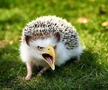 How to Make a Hybrid Animal