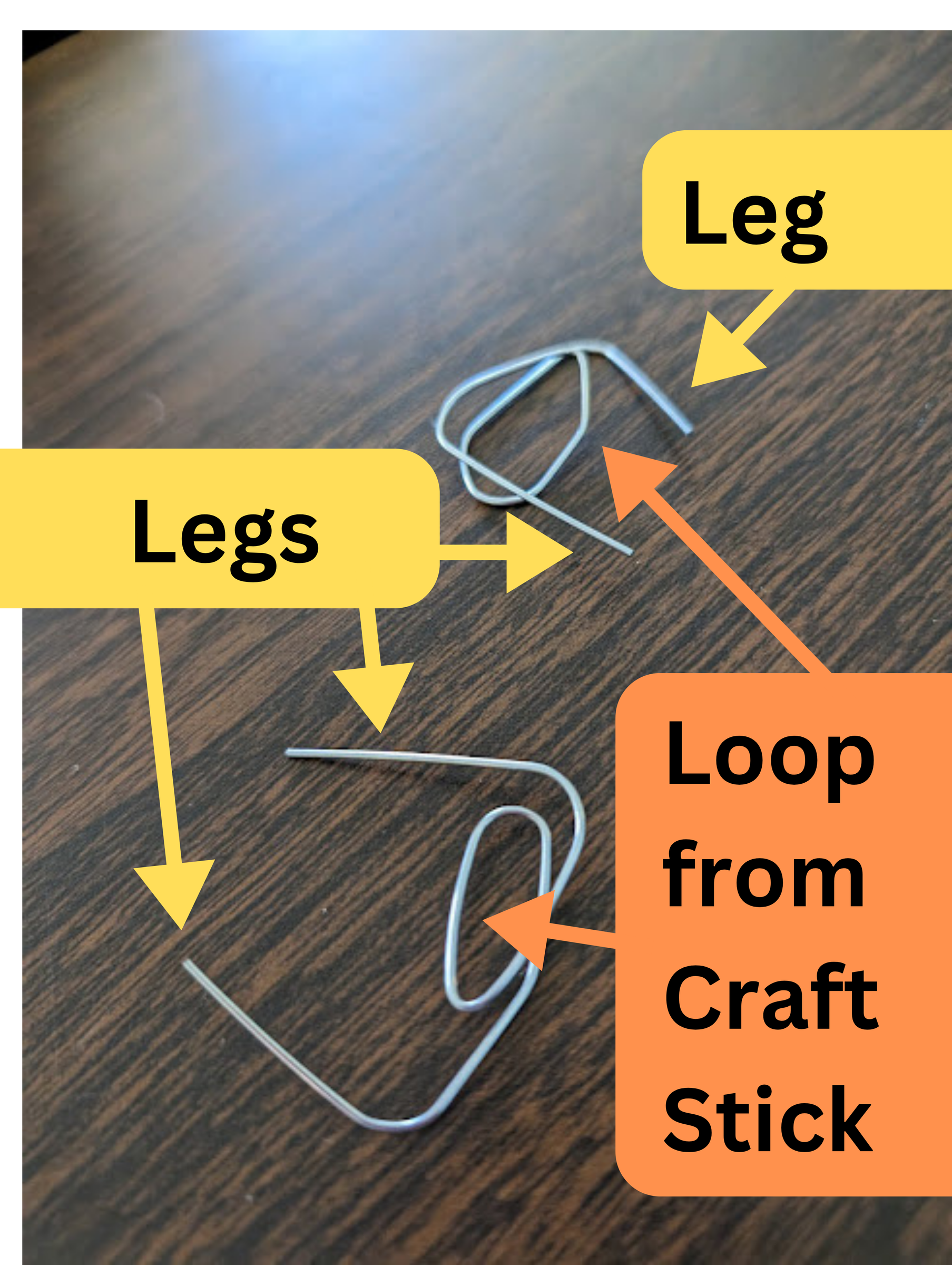 PBL How Can I Design a Robot That Moves Using Vibrations? 9 Steps