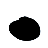 download {{ file.name }}