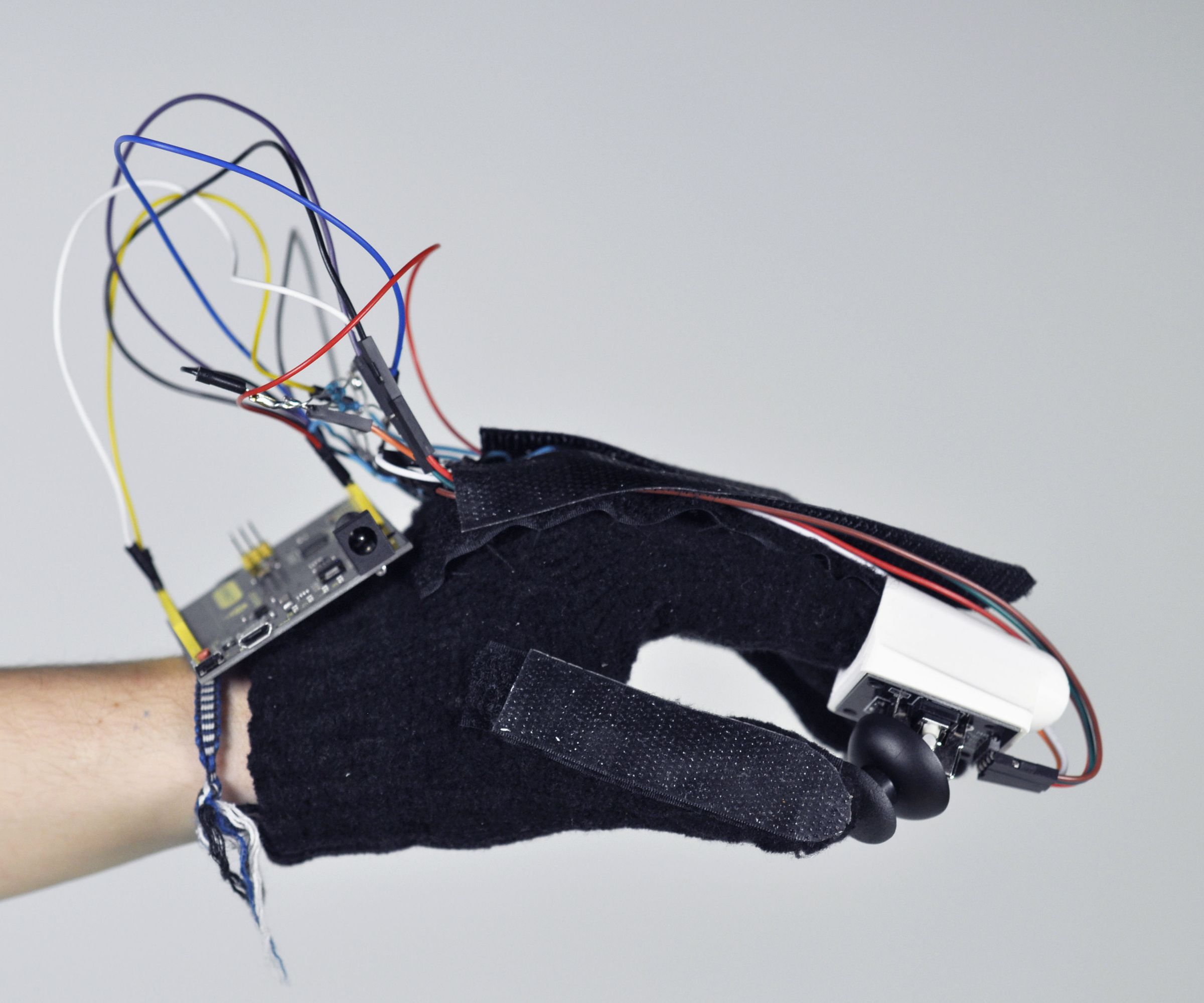 Cyborg Computer Mouse