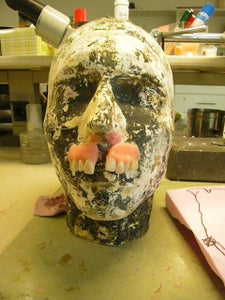 Teeth