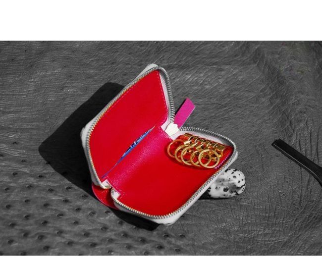 Car Key Holder