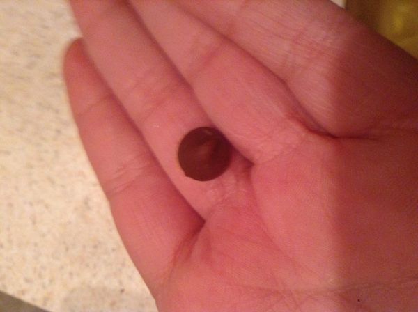 The Chocoa Poop Prank