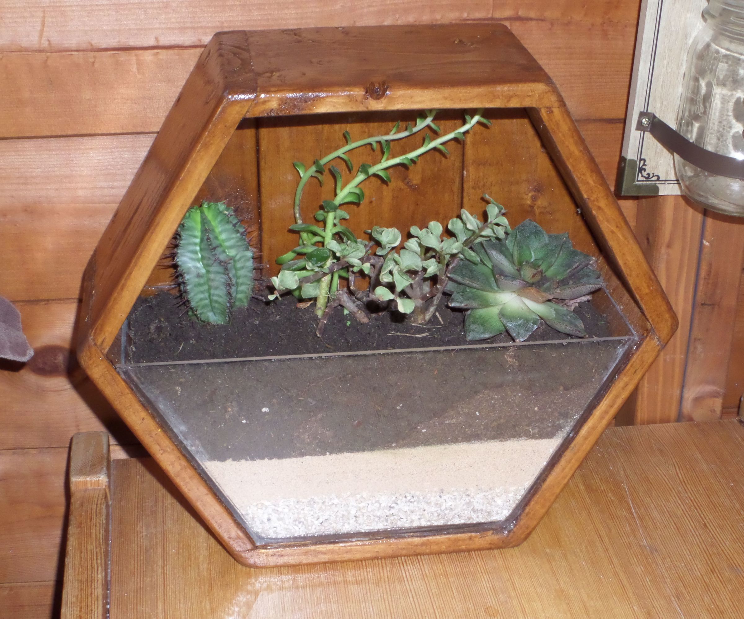 Easy Hexagonal Terrarium
