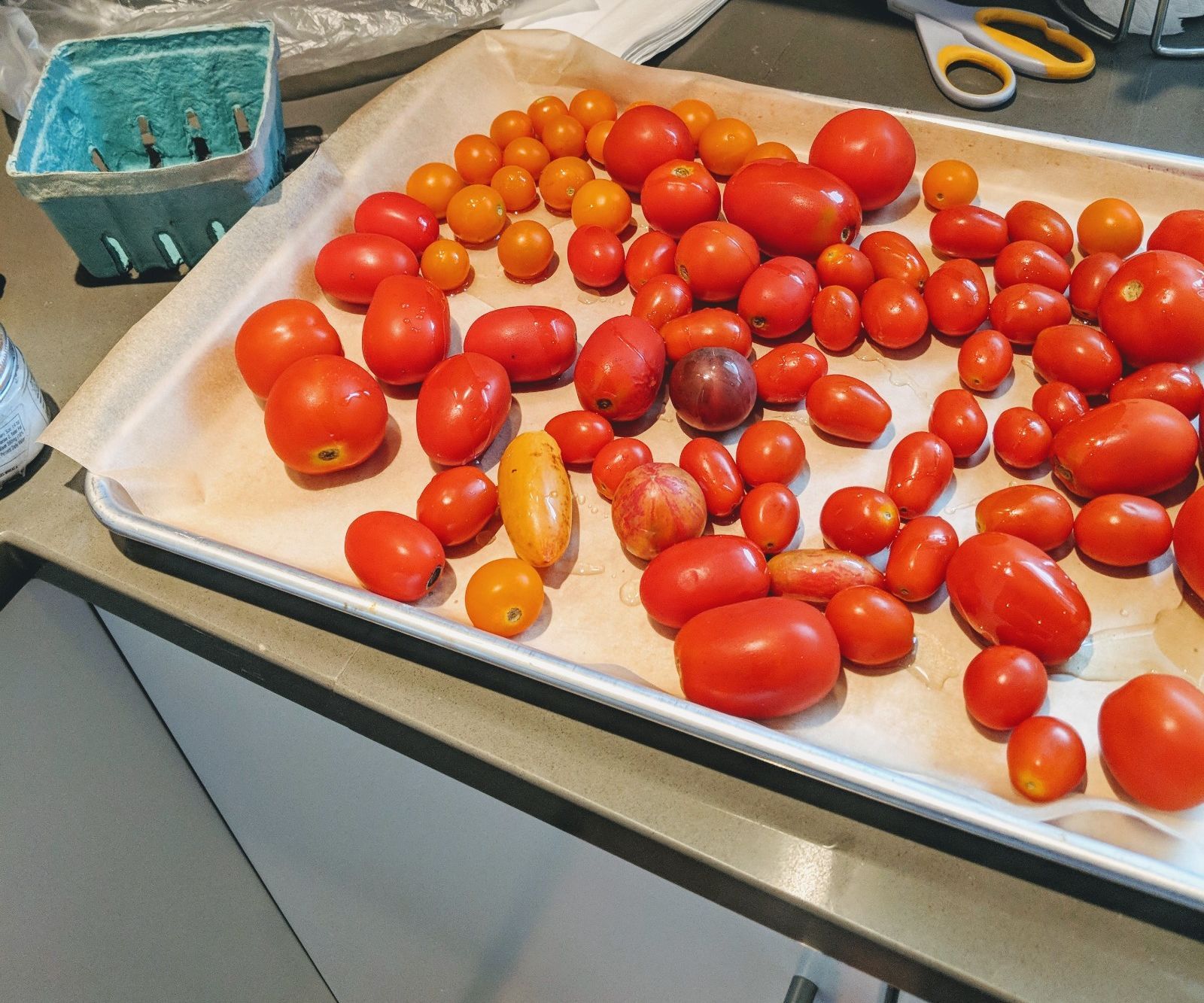 Slow Roasted Summer Tomatoes