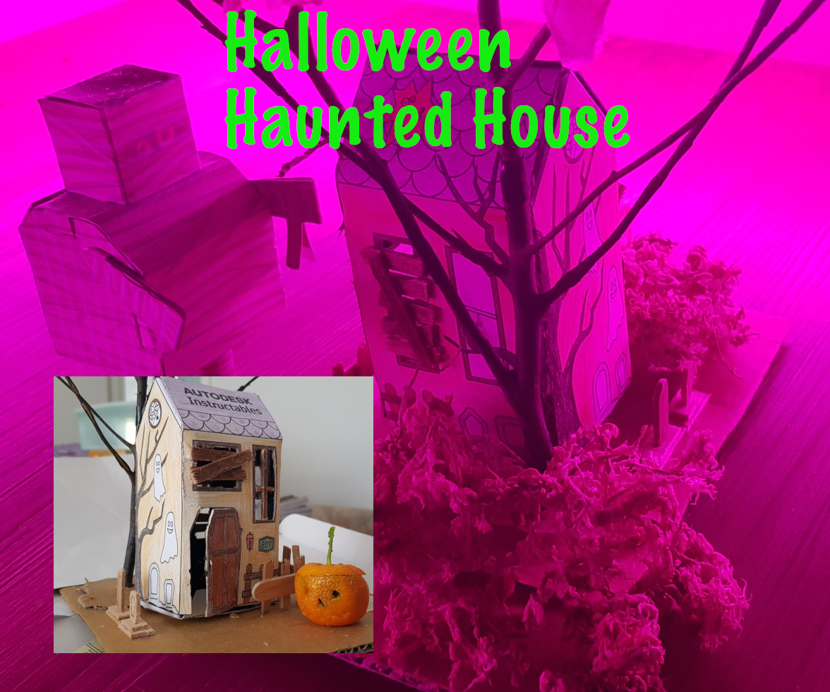 Halloween Haunted House