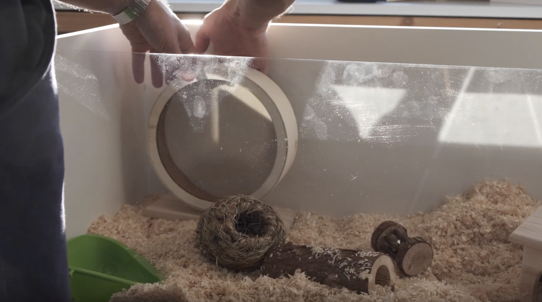 Diy glass hamster cage hot sale