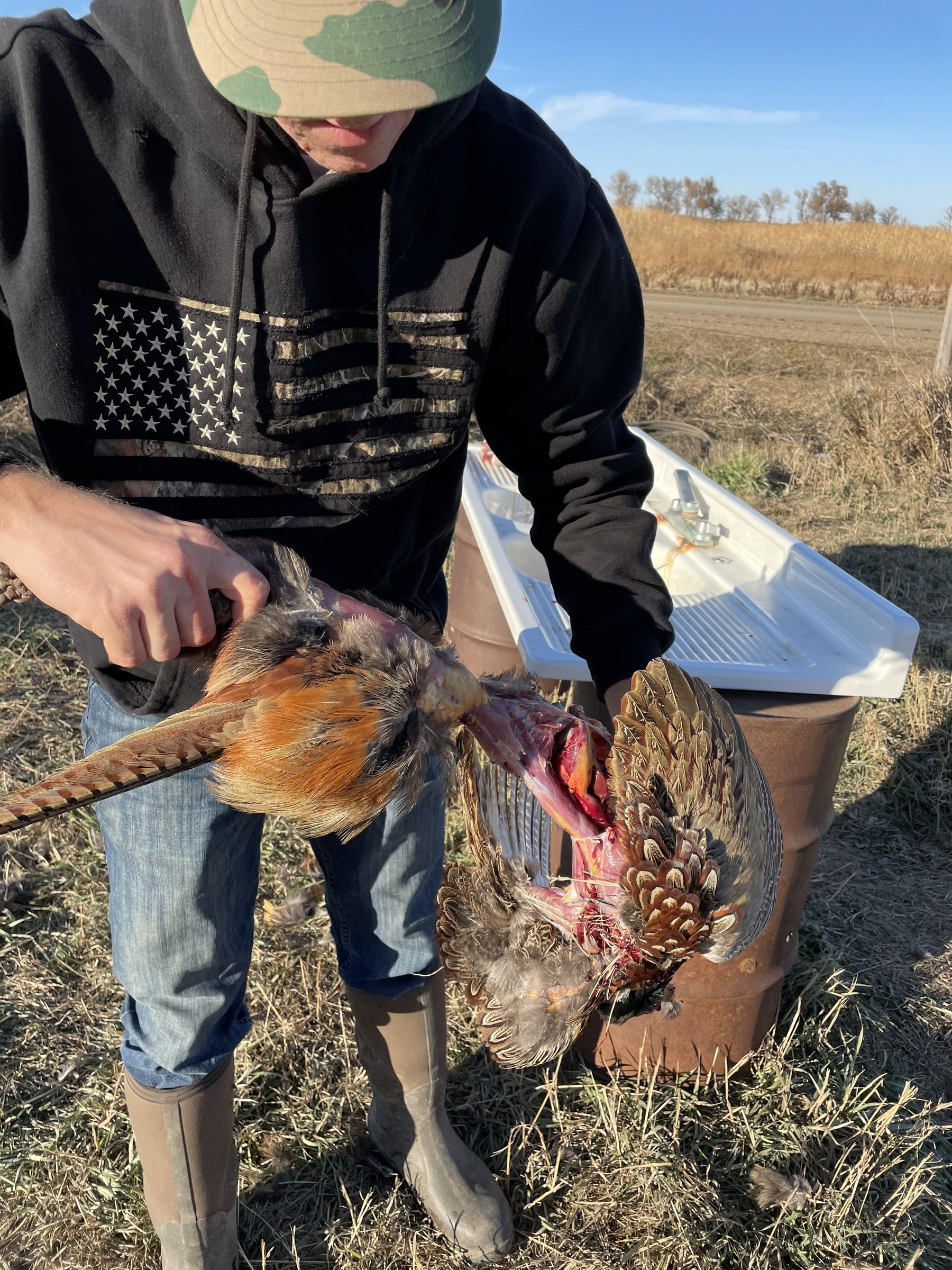 How to Clean a Pheasant 3 Steps Instructables
