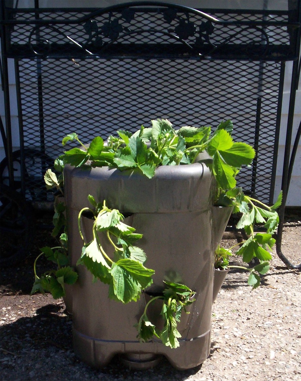 How to make a "Strawberry Jar" from a re-purposed plastic jug