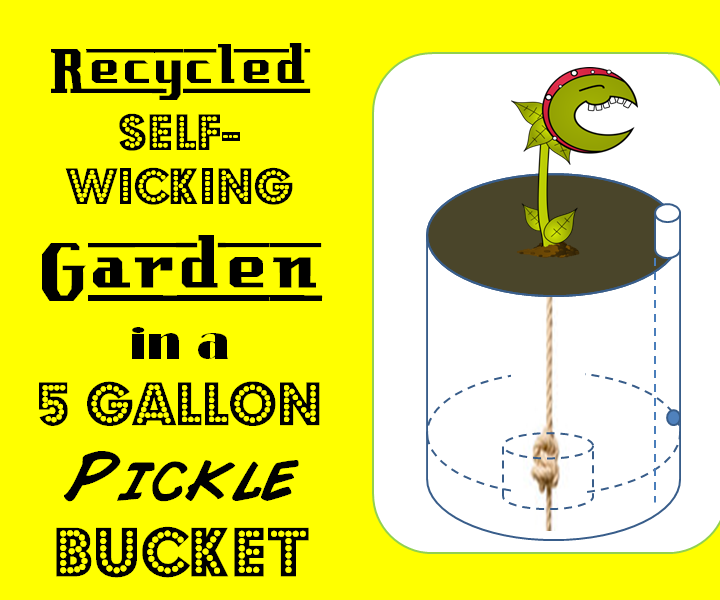 Recycled Self-Wicking Pickle Bucket Garden!