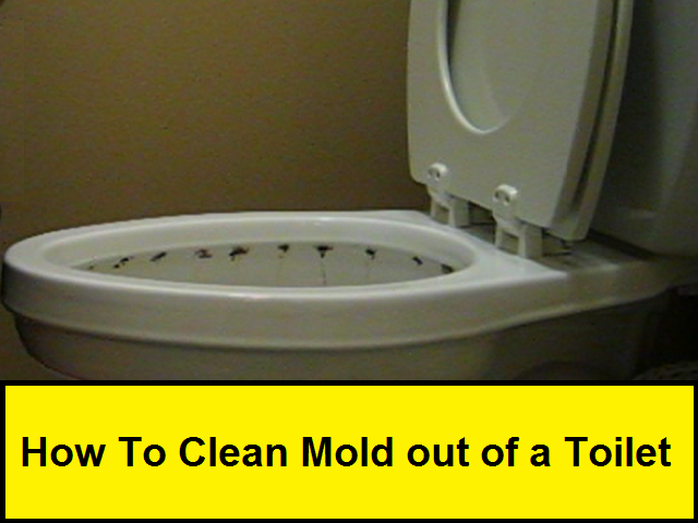 How to Clean Mold Out of a Toilet