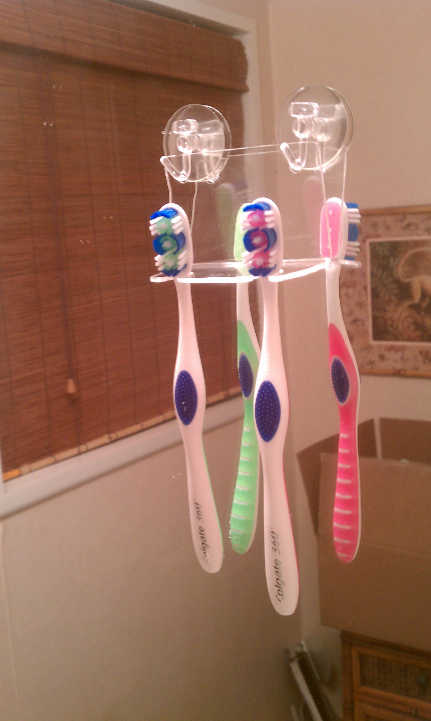 Critter Resistant Toothbrush Holder