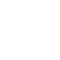 download {{ file.name }}