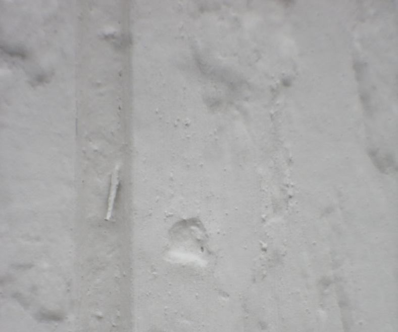 Exterior Painting Prep Tip - Pro Level