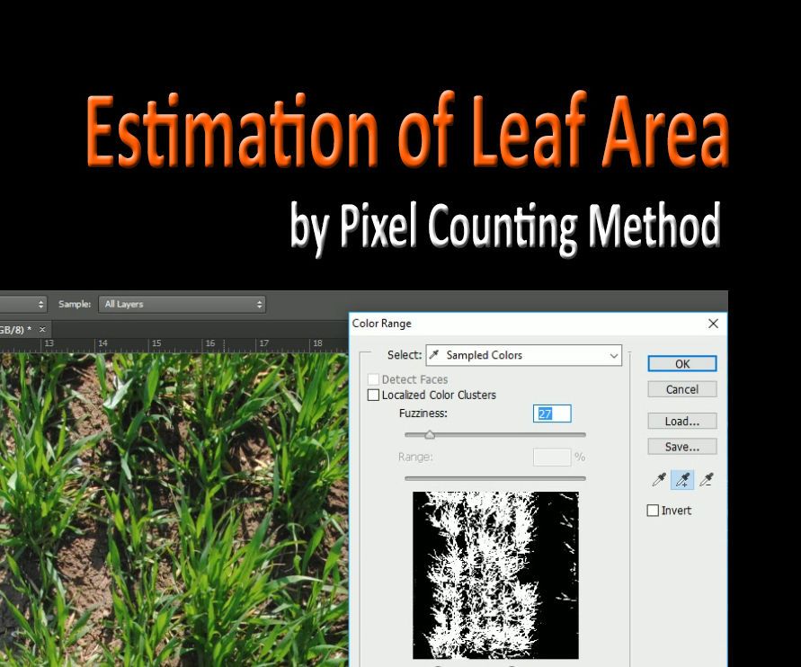 Estimation of Leaf Area by Pixel Counting Method in Photoshop CS6