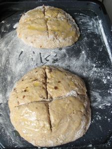 Bake