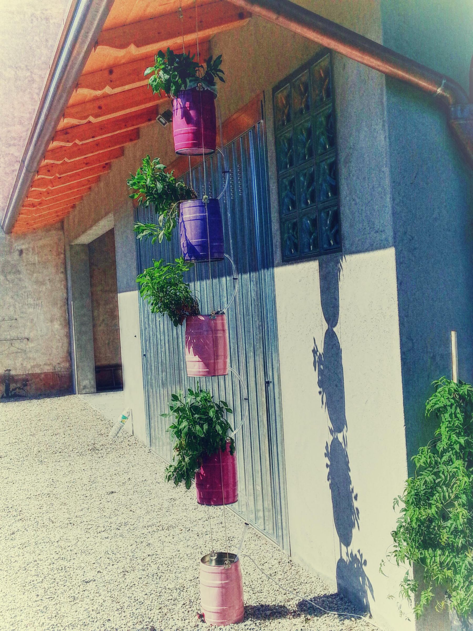 5l Beer Keg Planter VERTICAL GARDEN UPGRADE 7 Steps (with Pictures