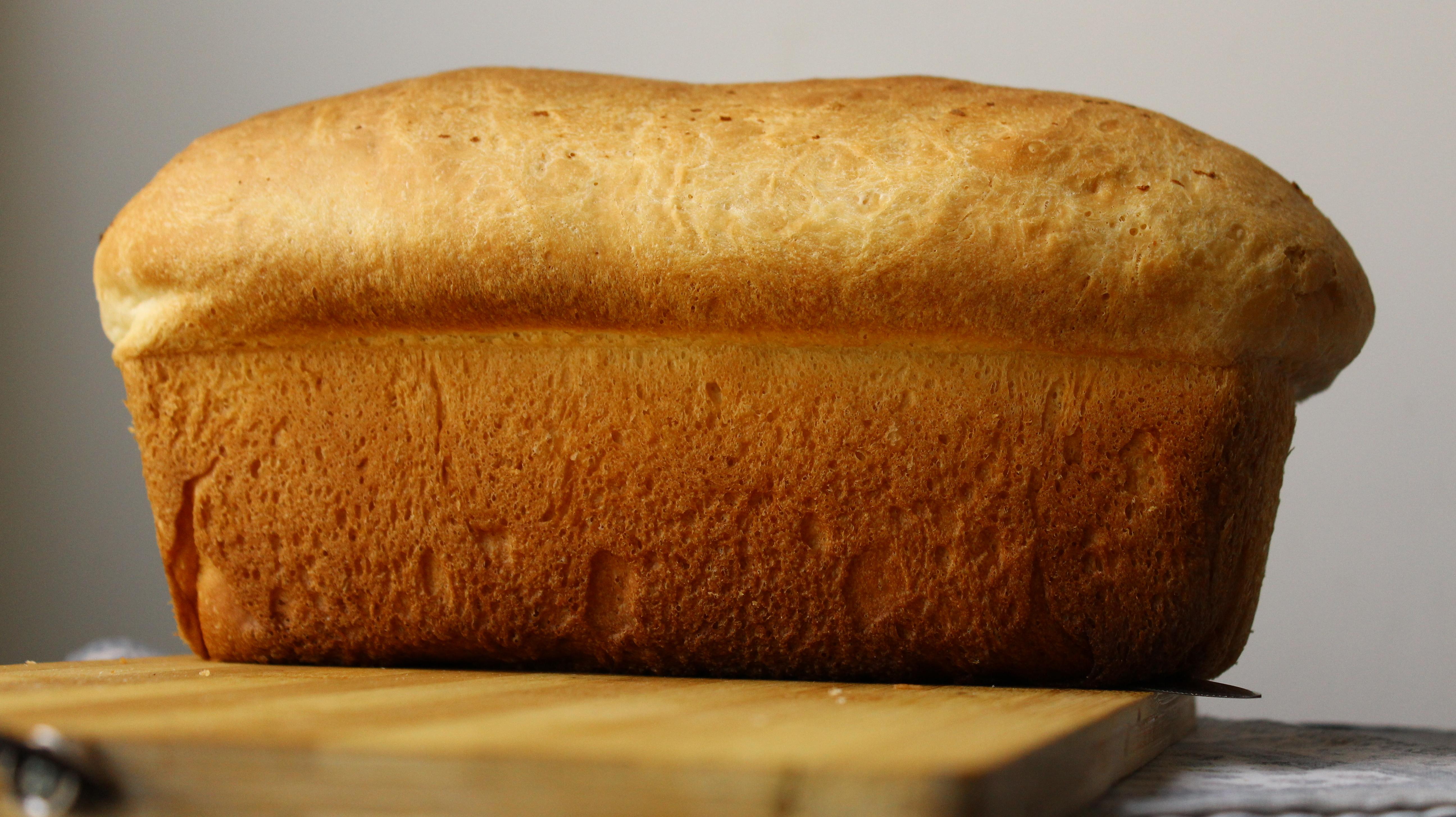 zojirushi italian bread recipe