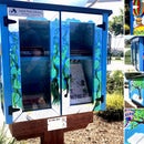 Books Come to Life! Little Free Library