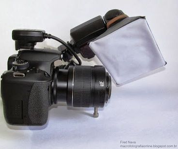 Lighting for Macrophotography
