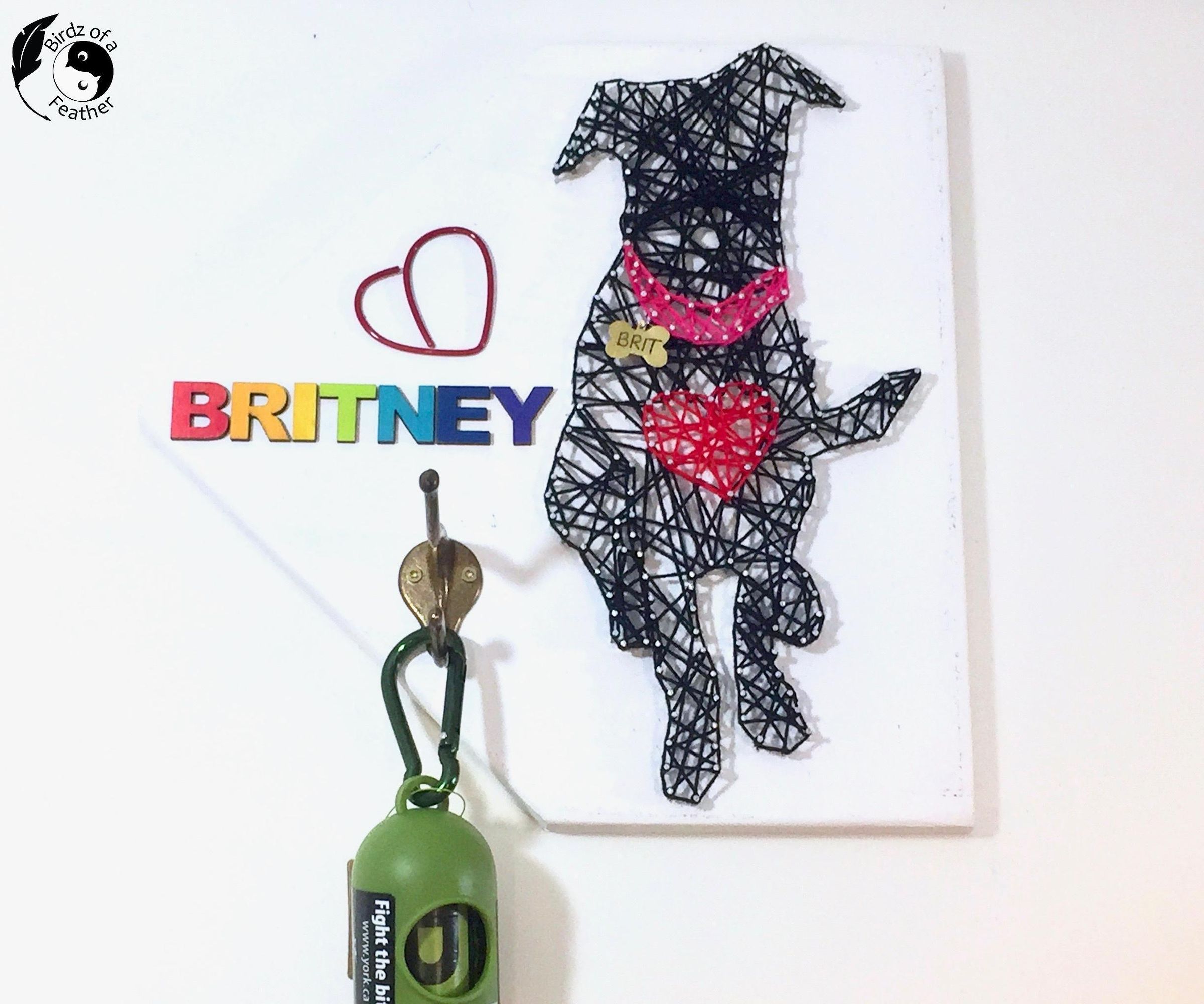 Turn Your Dog Into Wall Art! Leash/Bag Holder