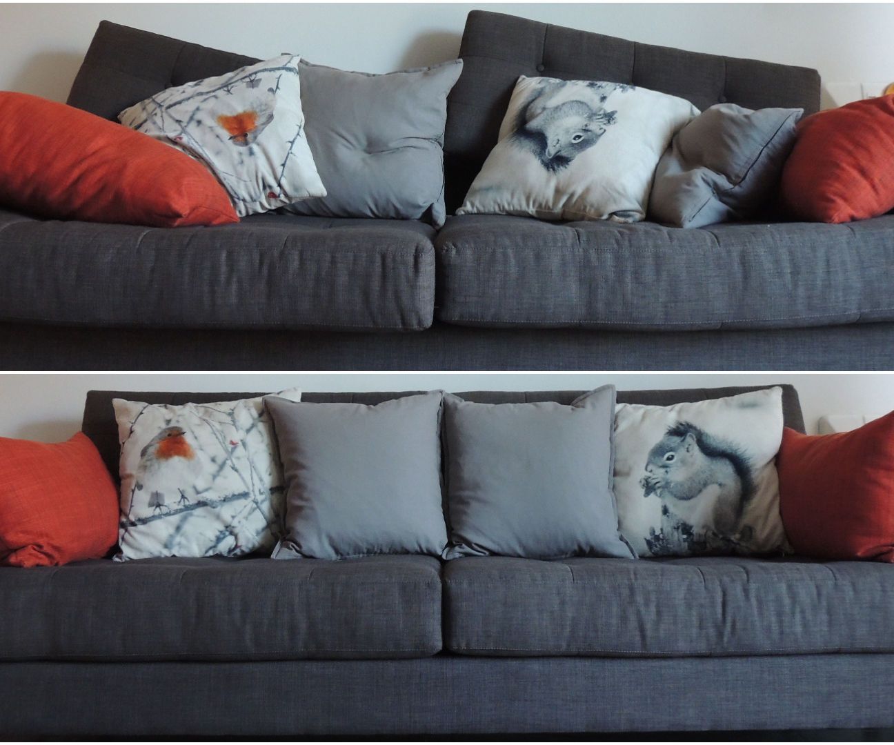 Clean Up Your Couch