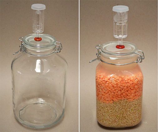 Glass Anaerobic Fermentation Vessel