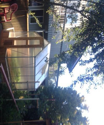 Greenhouse Improvement