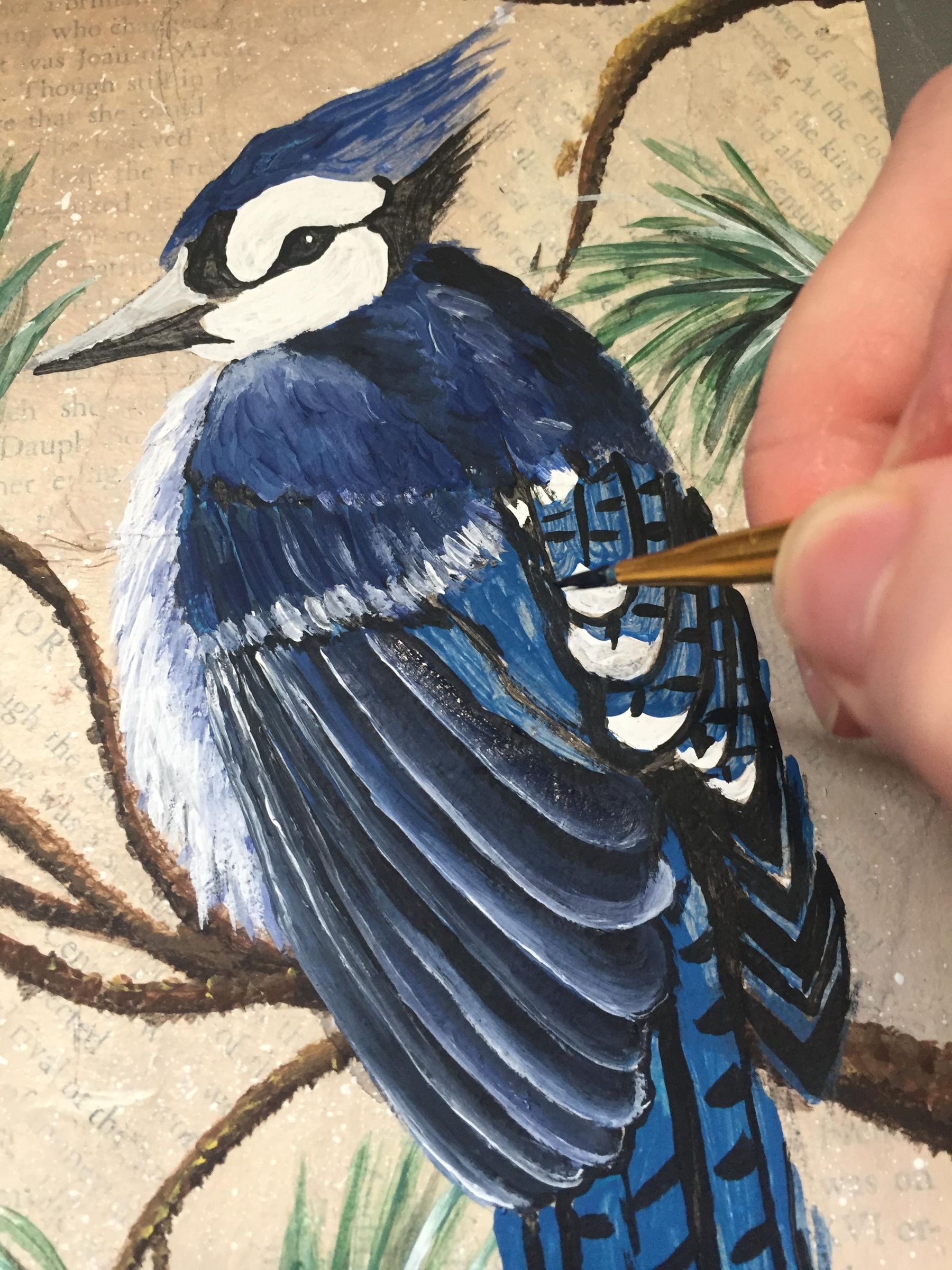 How to Paint a Blue Jay on a Branch. 13 Steps (with Pictures