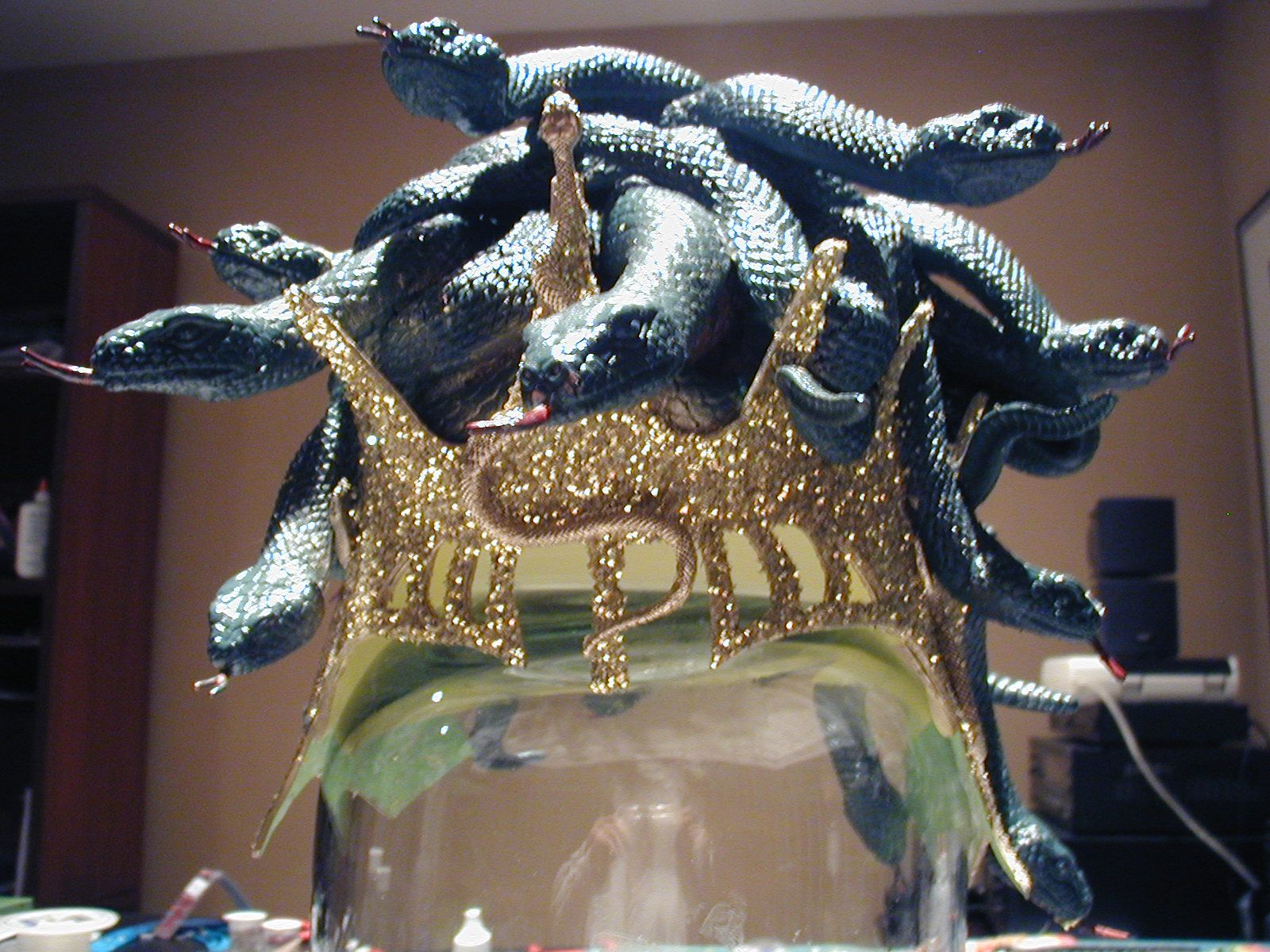 Medusa Headpiece and Costume