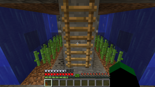 Finishing Touches/ Collection System