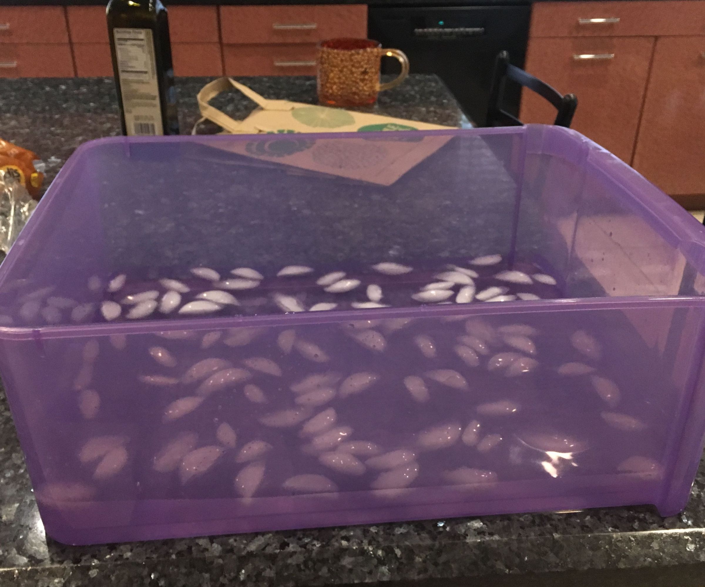 No Pain, Lots of Game