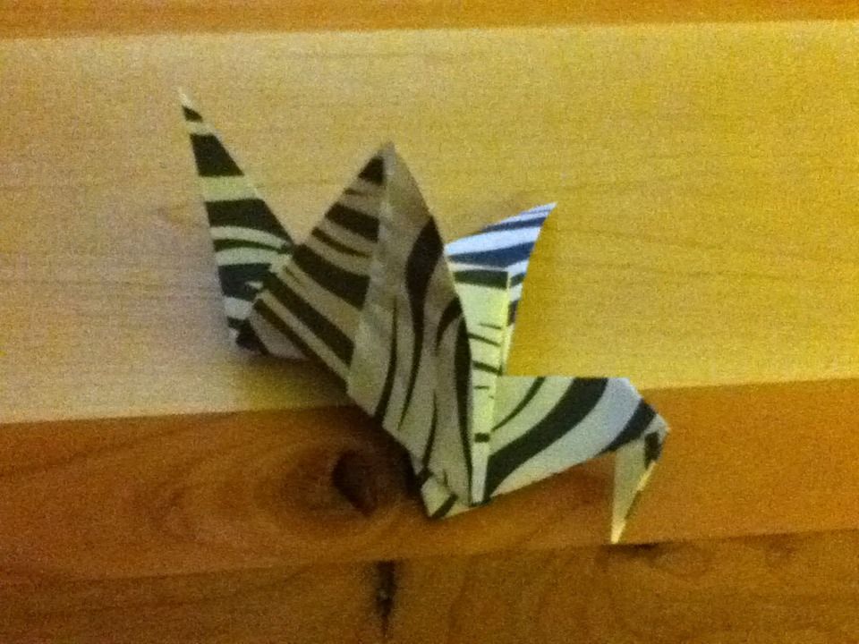 Origami Flapping Bird