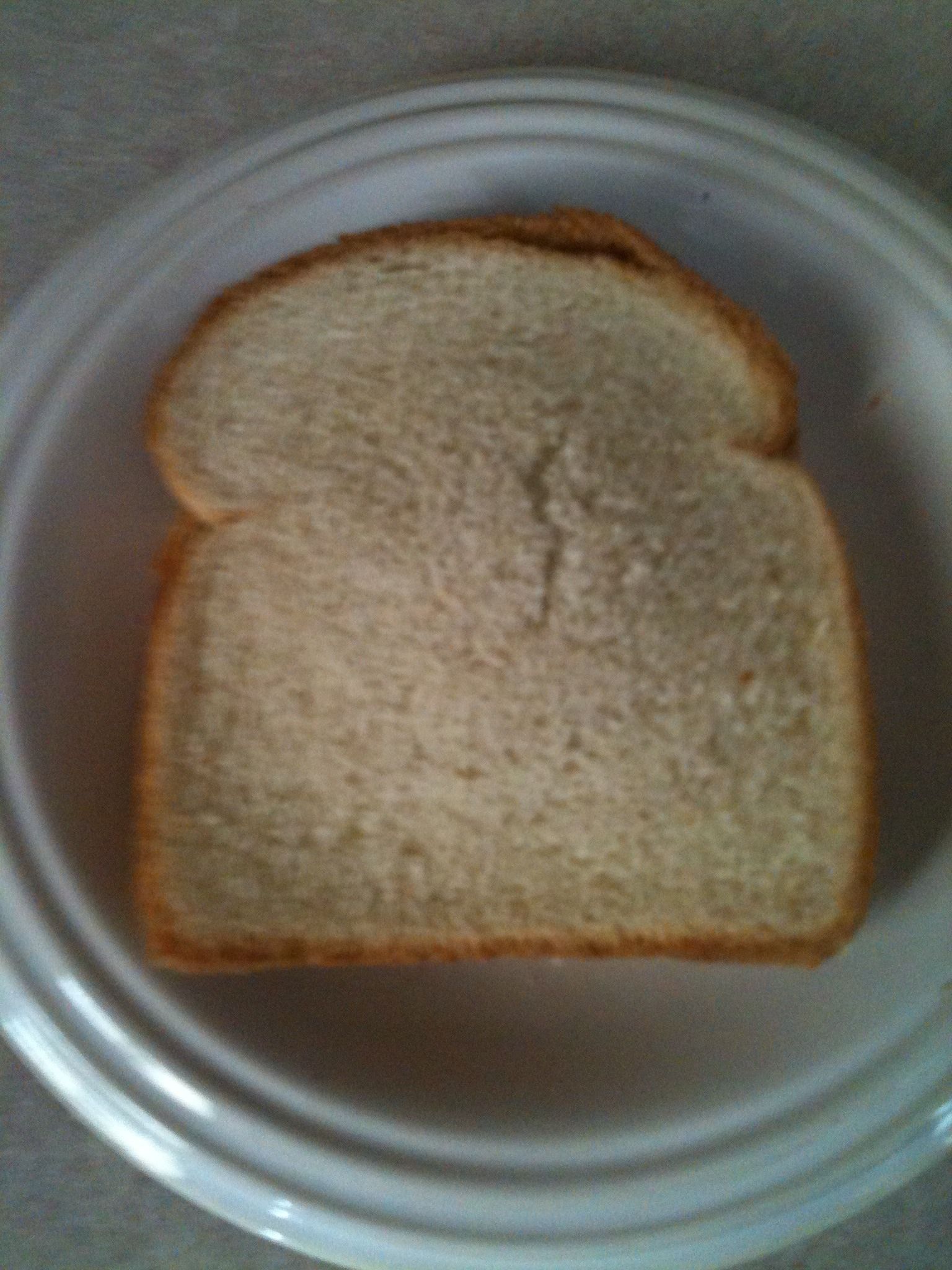 S'more Sandwich