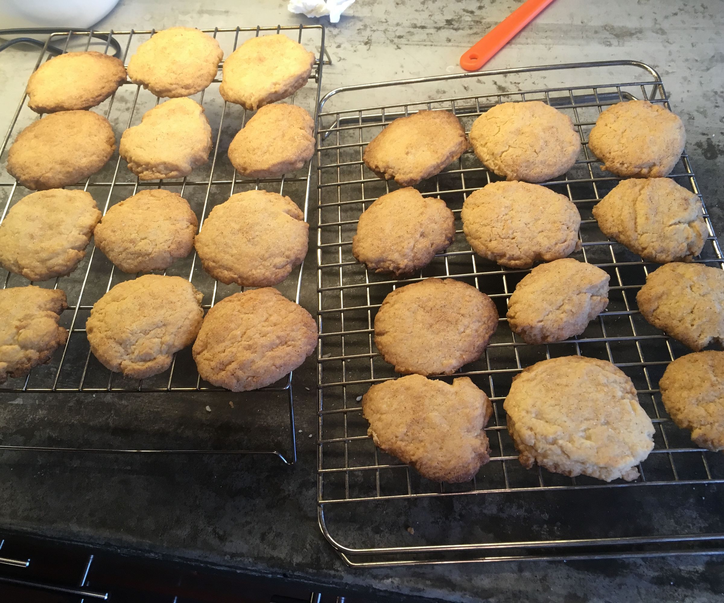 How to Make Cinnamon-Sugar Snickerdoodles